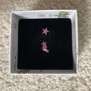 Super fina örhängen från Pilgrim!! ⭐️ - Säljer ett par jätte fina pilgrim örhängen eftersom att dom inte kommer till användning längre 💗💗