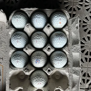 Titleist Pro V1x Golfbollar - 10 Titleist Pro V1x golfbollar. Pris kan diskuteras vid snabb affär. 