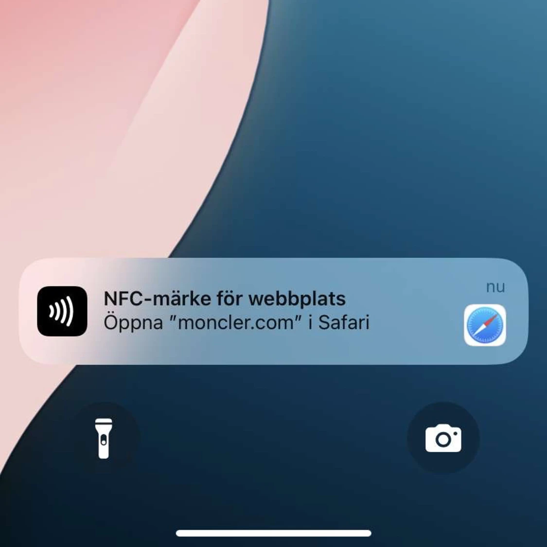 Svart dunjacka med huva från Moncler - 4