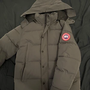 Canada goose  - Stay warm in style. This grey Canada Goose jacket offers top-tier insulation, sleek design, and trusted performance in any weather. Lightweight yet built for the cold — it’s the perfect blend of function and fashion.