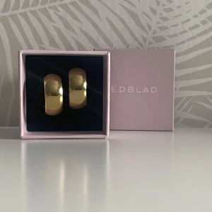 Arch Creoles L Gold örhängen från Edblad - Säljer ett par creoler i guldplätering från Edblad. Modellen heter Arch Creoles L Gold. Har nästan aldrig använt. Väldigt fina och eleganta. 