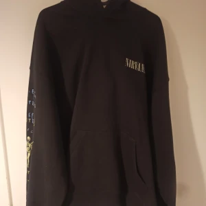 Nirvana H&M 'In Utero' hoodie - Basically brand new. Never worn. Nice hoodie.