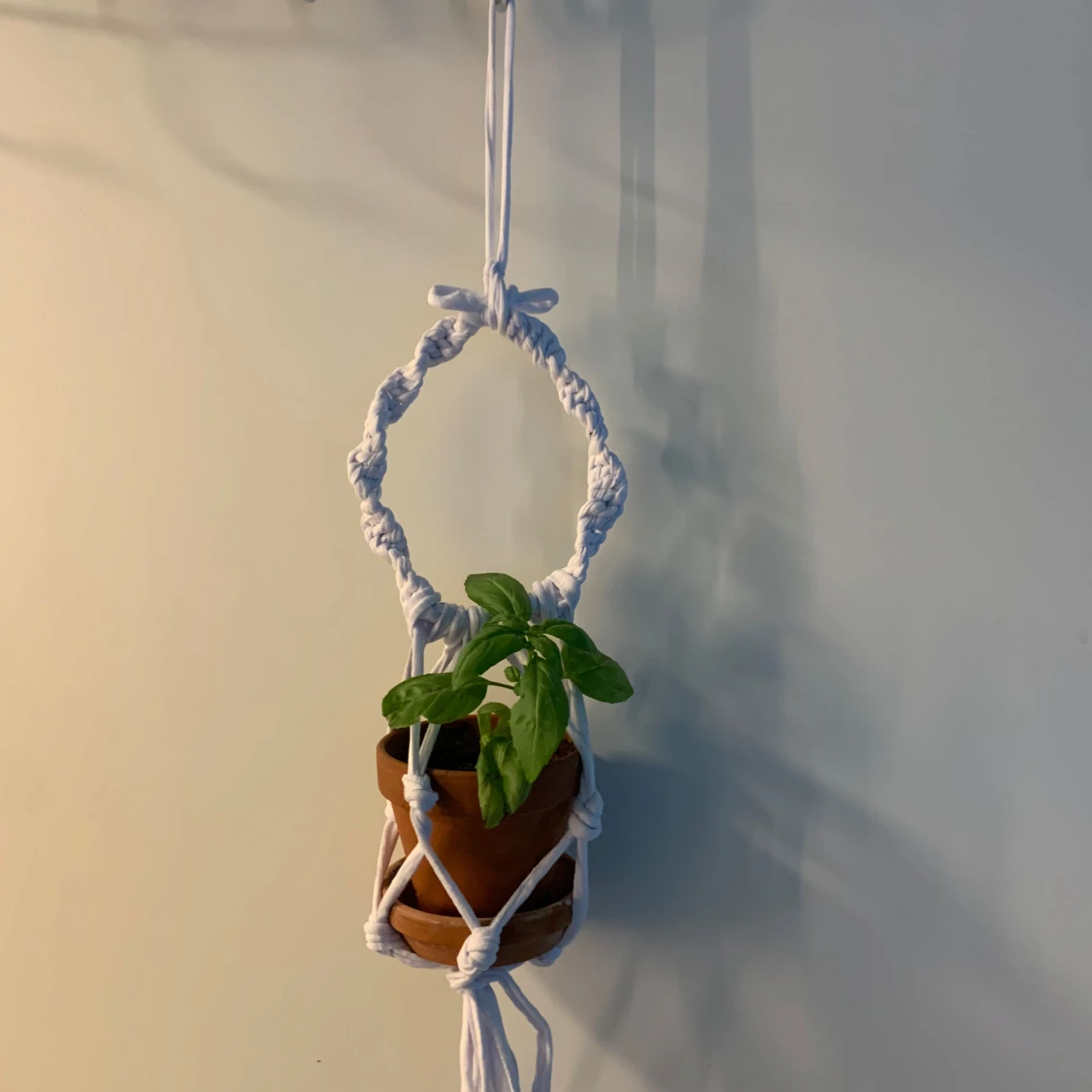 Makramé ampel / växthängare säljes.  - 2