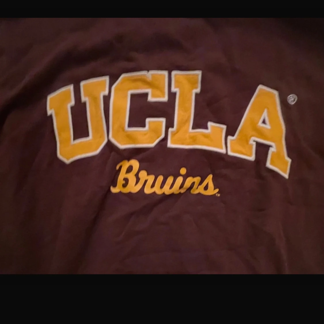 Brun UCLA sweatshirt - 1