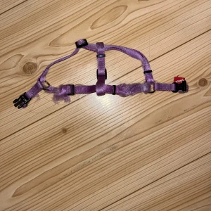 Kissan valjaat - Kissan violetiti käytetyt valjaat. Muuten hyvä kuntoiset, mutta osasta kohtaa pörröiset kissan rapsutuksesta. Pituutta saa säädettyä. Kissatalous MMM, lisätietoja saa kysymällä Katsothan myös muut ilmoitukseni Mikäli hinta ei miellytä tarjoa rohkeasti 