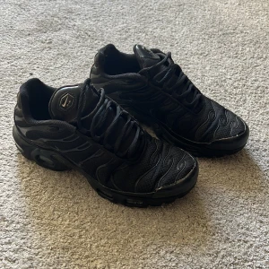 Nike Tn skor - Sköna skor med några skavanker men går fortfarande att använda! 