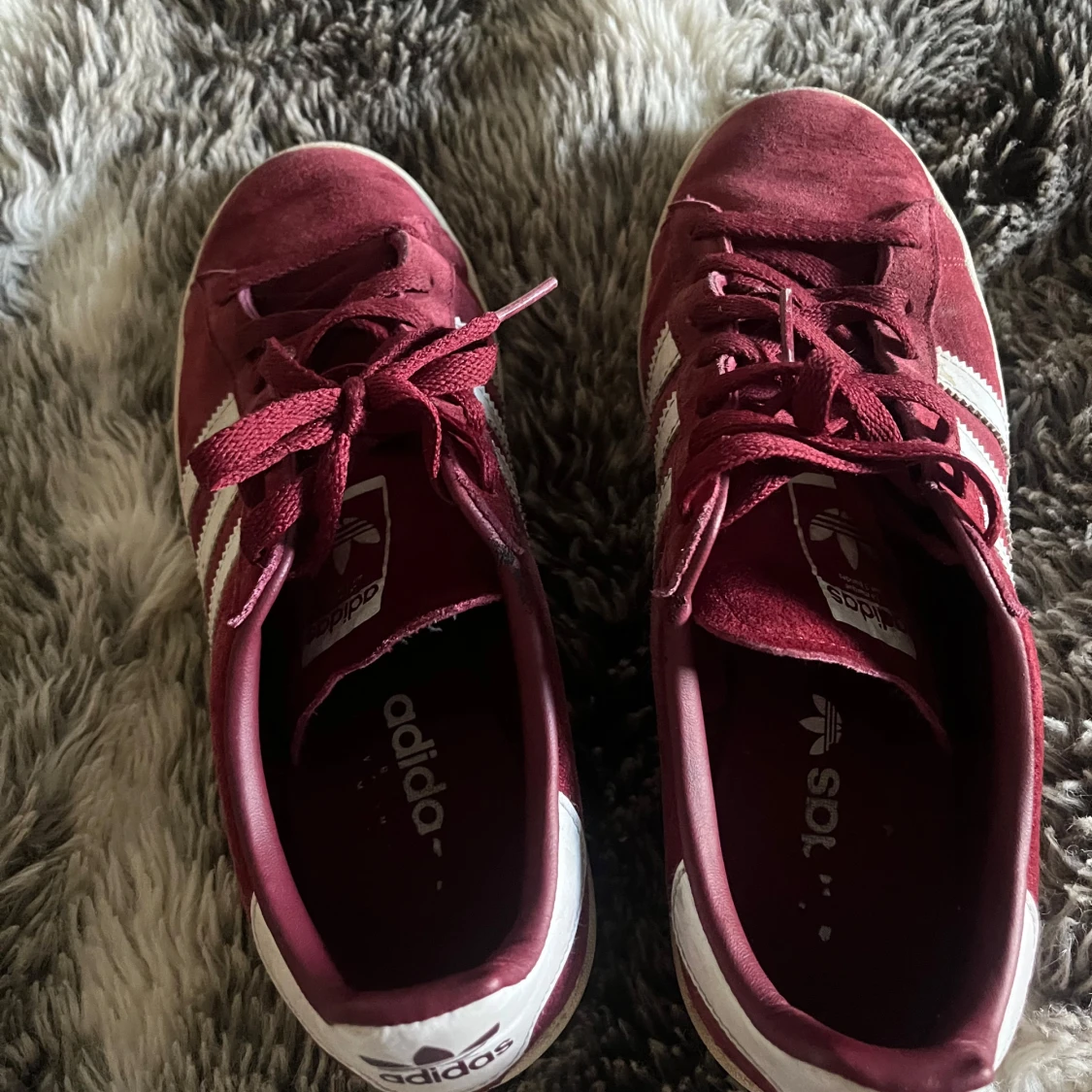 Vinröda Adidas Campus sneakers - 2