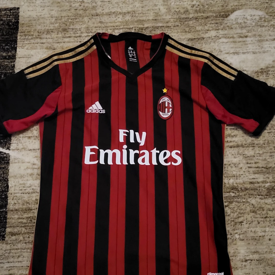 AC Milan 2013/2014 