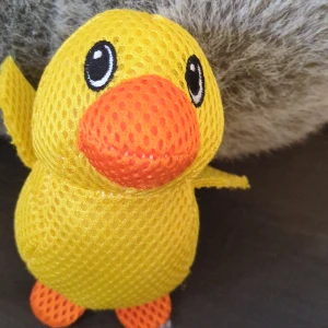 Duck - Det är en väldigt söt anka, gul och cool.