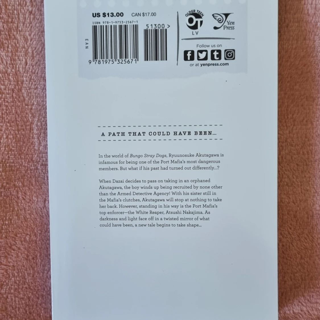 Bungo Stray Dogs Beast: Vol 1, Manga - 90