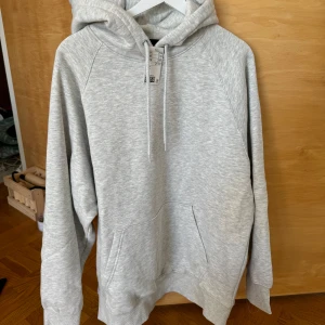 Hoodie, helt ny - Ny hoodie från h&m som jag glömde lämna tillbaka.