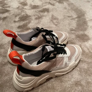 Zadig & Volaire skor - Använd bara en gång, nästan helt nya. Köpte dem för 3000kr. Om ni har frågor kan vi vänligen fråga mig.