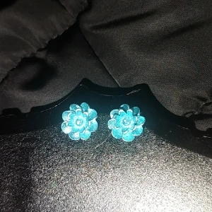 Örhänge - Oanvänd örhänge. Färgen ser lite starkare i bilden och är lite ljusare i verklighet. Säljer mest nya smycken för jag har ett uf företag och försöker få in pengar. Baksidan är plast.