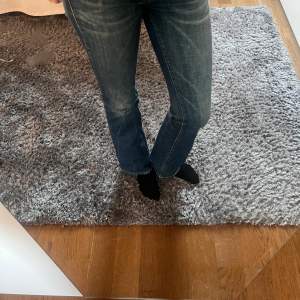 Sjukt snygga lågmidjade jeans från Nolita, säger då de inte riktigt kommer till användning 