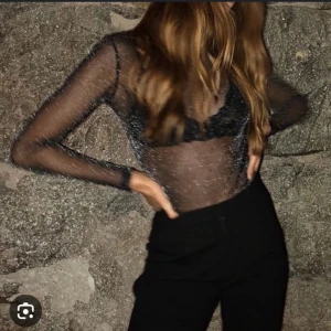 Glitter topp - Glittrig topp från Brandy Melville. Första bilden är lånad.💕 Står ingen storlek men skulle gissa det är XS/S.  Tröjan är transparent och lite kortare, perfekt till fest.💕