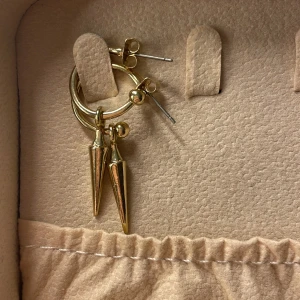 Örhängen  - Örhängen från Kappahl aldrig använda💗