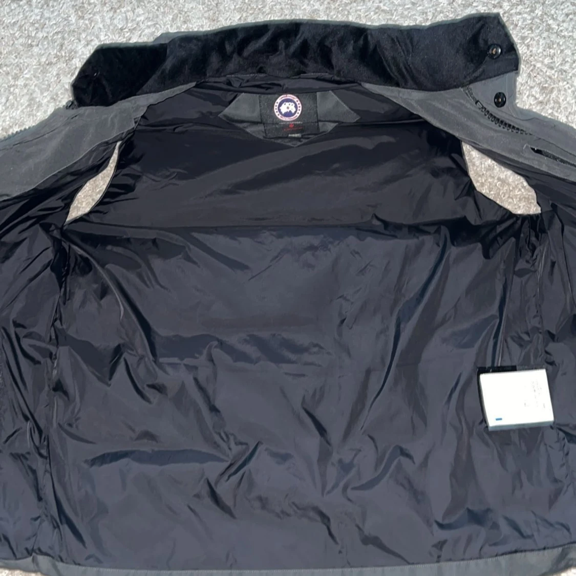 Canada goose - 90