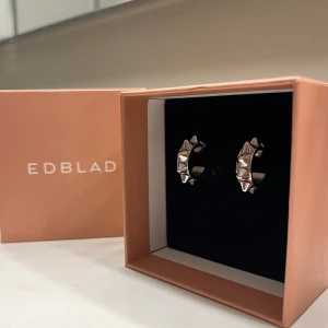 Edblad nit örhängen - Säljer dessa populära örhängen då de tyvärr inte kommer till någon användning längre. Har använts men fortfarande i mycket fint skick!  Köparen står för frakten🙃