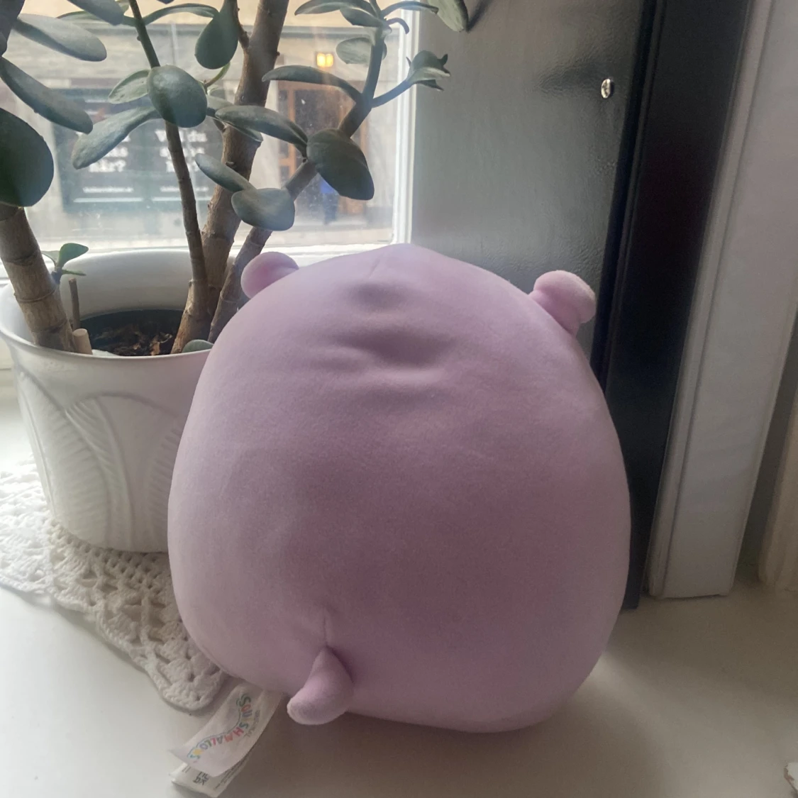 Squishmallow 💞🤭  - 90