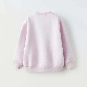 Sweatshirt från zara - Sweatshirt från zara i stolek M. Aldrig kommit till användning där av nyskick.💞