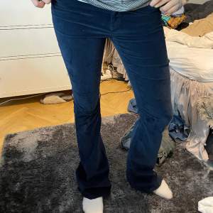 Säljer dessa så sköna och snygga jeans från IVY. De är i storlek 26-36/S. Marinblåa i sammet/manchester tyg. Pris kan diskuteras, inga defekter, bra skick. 
