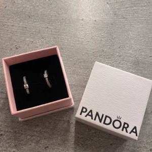 Örhängen  - Säljer dessa söta örhängen från Pandora köpta för 800kr aldrig använda säljer för 500