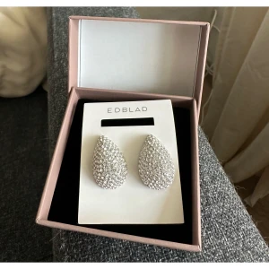 Edblad öronhänge - Öronhängen från Edblad ”Edblad Sander Studs CZ L”. Superfina, nyligen köpta. 179kr plus frakt 🌸