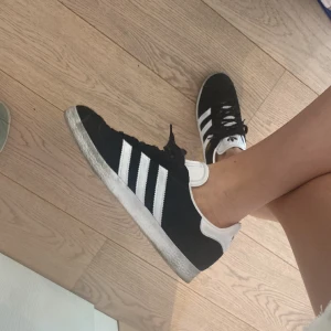 Gazelle  - Gazelle skor