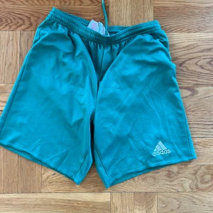 Shorts  - Använd 