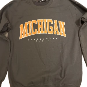 Crewneck - Crewneck från Zalando. Använd några gånger.