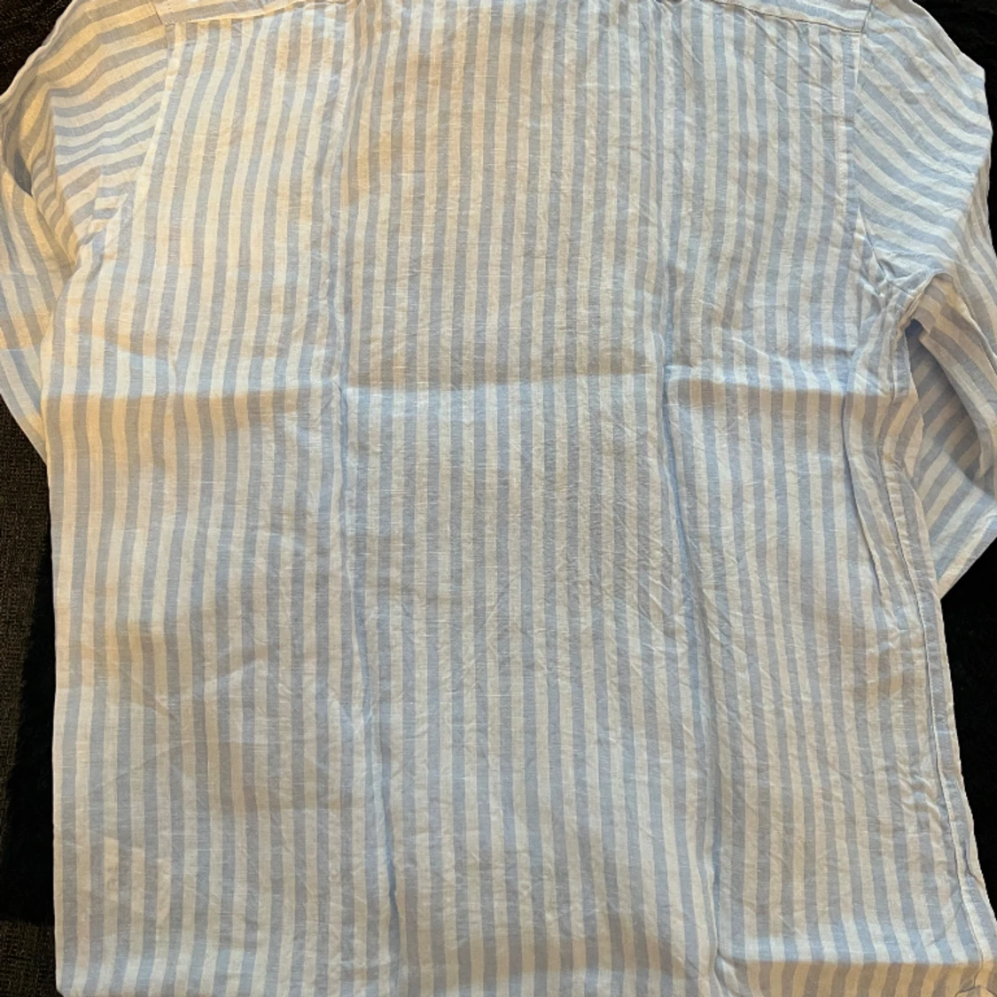 Seidensticker Shirt-Blue Striped - 2