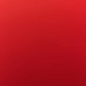 Carhartt byxor - Byxor