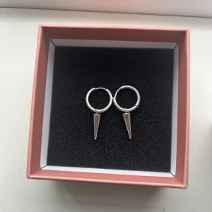 Edblad örhängen - Säljer mina Edblad örhängen som är i blankt rostfritt stål. Säljer eftersom de sällan kommer till användning💗