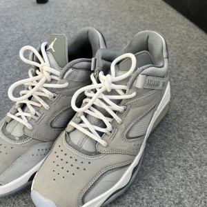 Nike Jordan point lane Wolf gray skor - Storlek 40 