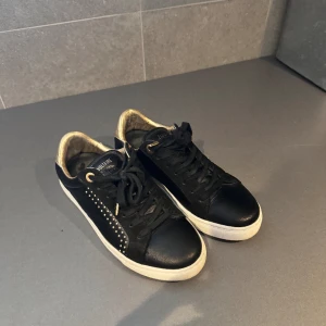 Zadig & Voltaire skor - Ett par svarta Zadig & Voltaire skor i storlek 36, använda bara ett fåtal gånger sen har dom bara stått i garderoben. Nypris (köpte dom för) - 1800/2000kr 