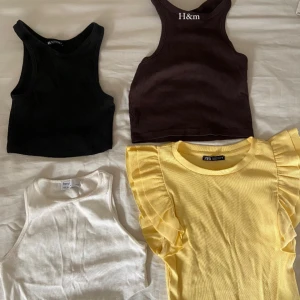 Toppar - Alla för 100kr eller 30kr/st. Från zara, bershka & Hm🫶🏼 storlek S på allt