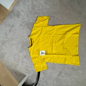 Yellow T-shirt - The item hasn’t been worn that much and has been taken care of very well. The clothing has no issues whatsoever and no damages. The item has also been cleaned very well so it’s not dirty or anything.