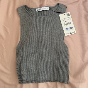 Silvrig Zara topp - Silvrig Zara topp. Oanvänd.  St: S 