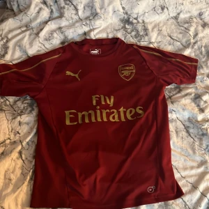 Arsenal träningströja - Säljer nu denna arsenal tröja pågrund av att den inte används längre. Skriv om det är något ni undrar över. Storlek 13/14y. Pris kan diskuteras. 