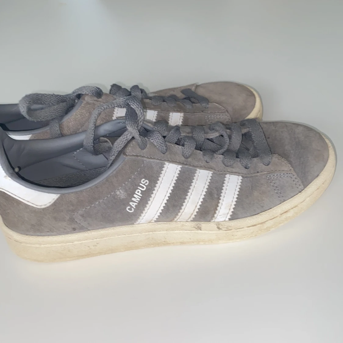 Adidas campus grey.               - 91