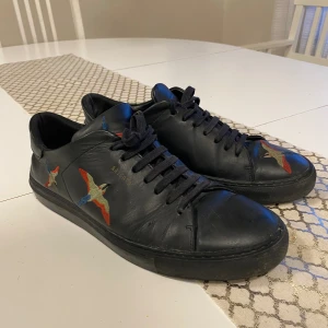 Axel Arigato skor  - dom är använda när vi köpte dom och sen dess har dom aldrig använts vill du veta mer skriv😊