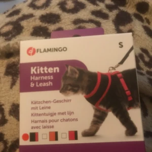 Kattsele med koppel - Oanvänd, tyvärr beställde jag fel storlek.