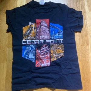 cedar point usa print tröja - oversized med bergochdalbana print, från usa