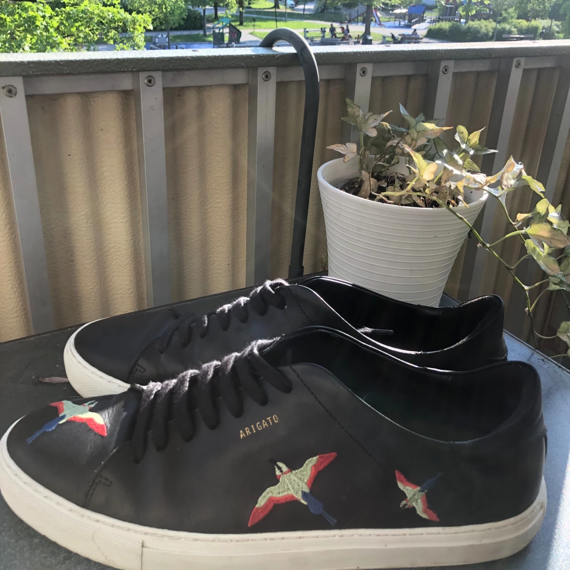 Axel arigato skor  - 91