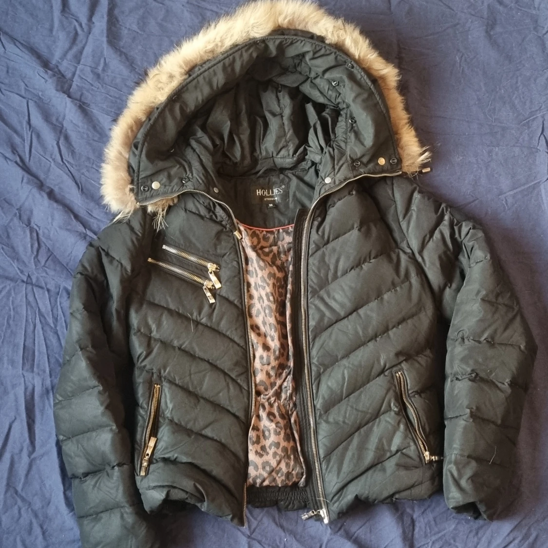 Hollies Jacka 