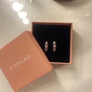 Sjukt snygga och söta örhängen från Edblad🤩🤩  - har slutat använda dom men de är i bra skick! Pris kan diskuteras