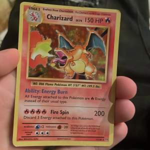 Holo charizard pokémon kort