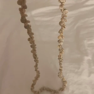 Halsband - Halsband med snäckor