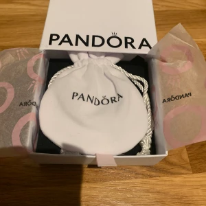 Pandora Moments Halo Ormkedjearmband - Köpte den på Pandora men tyckte att den var för stor och inte så snyggt på mig! Original pris är 900kr men jag ska sälja för 600kr, priset kan diskuteras! Skriva till mig om du har några frågor! ❤️