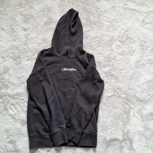 En Champion hoodie - En Champion hoodie i ganska bra skick. Ett litet riv märke fast inget hål